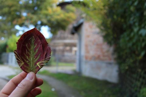 Organic Embroidery by Lina Khalil — embroidered leaf and thread work, image 13 of 17.
